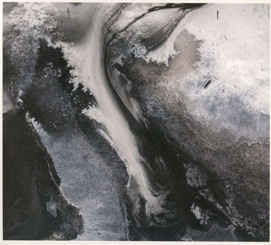 assai2961842
