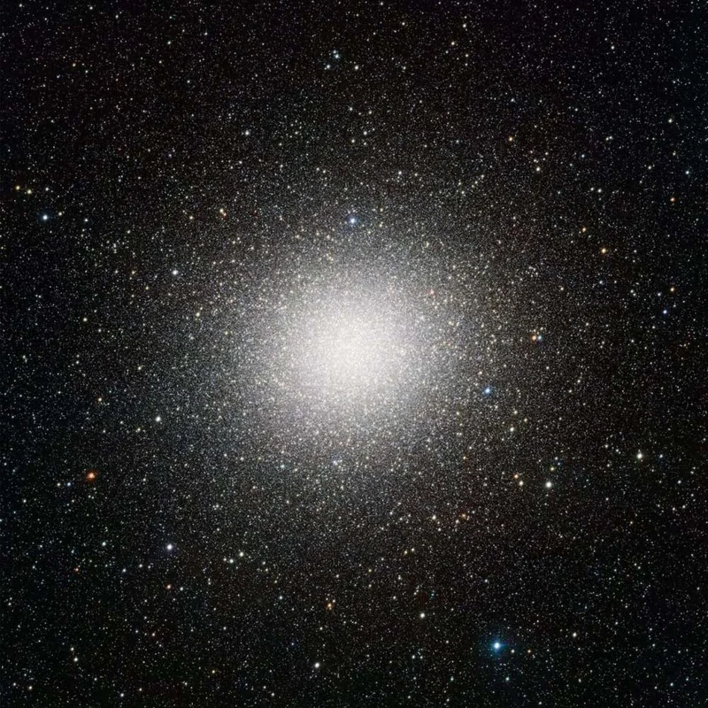 assai3421192