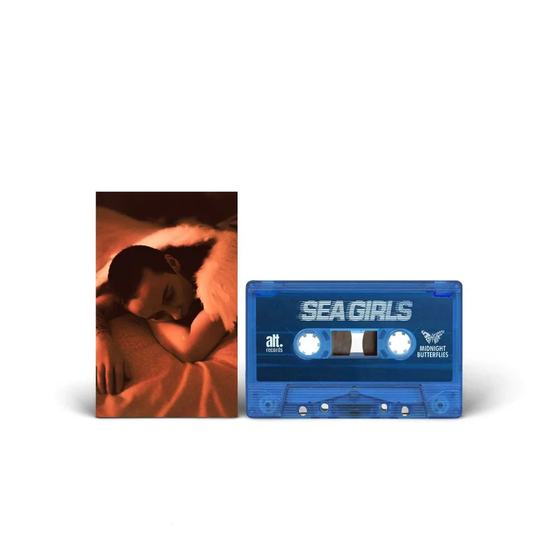 assai3600249