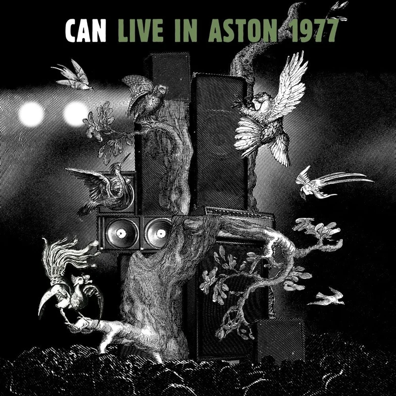 assai3654904