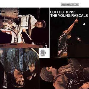 diversevinyl2492243