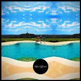 diversevinyl2501174
