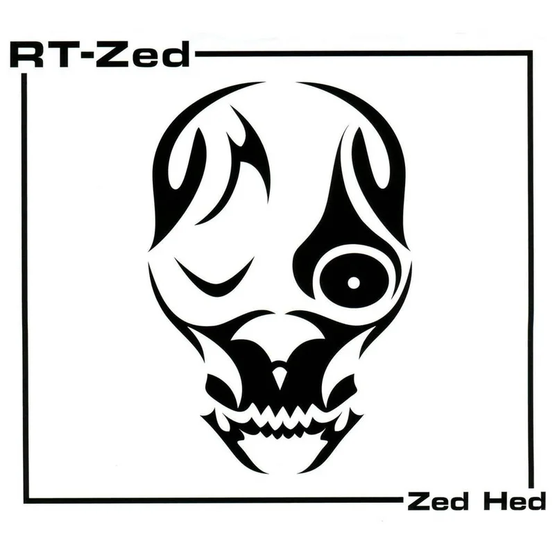 diversevinyl2537193