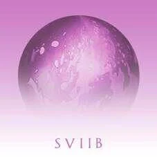 diversevinyl2555481