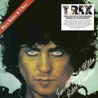 diversevinyl2560411