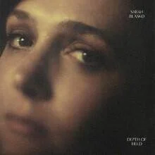 diversevinyl2583810