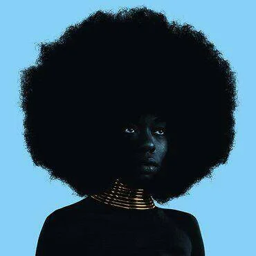 diversevinyl2598785