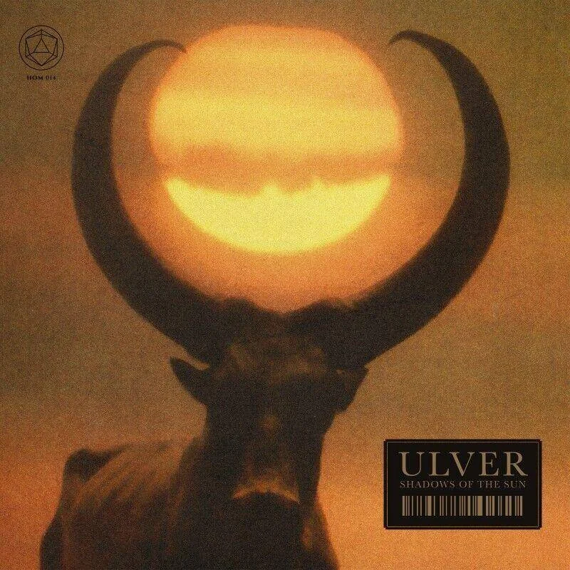diversevinyl2619351