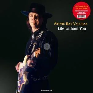 diversevinyl2619858