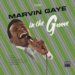 diversevinyl2627131