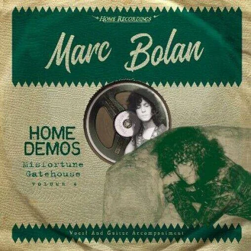 diversevinyl2629816