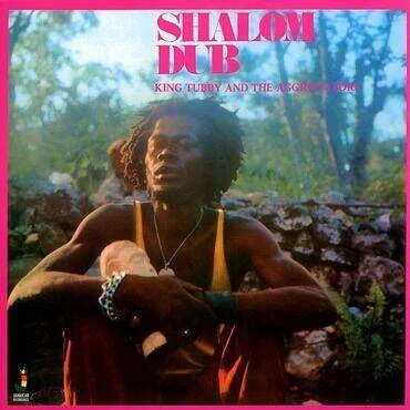 diversevinyl2662024