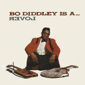 diversevinyl2662943