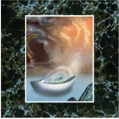 diversevinyl2667389