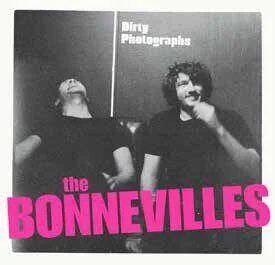diversevinyl2701399