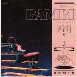 diversevinyl2702169