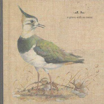 diversevinyl2804150
