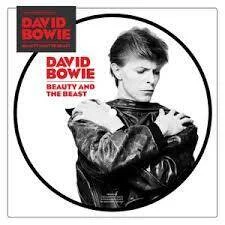 diversevinyl2834912