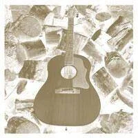diversevinyl2841193