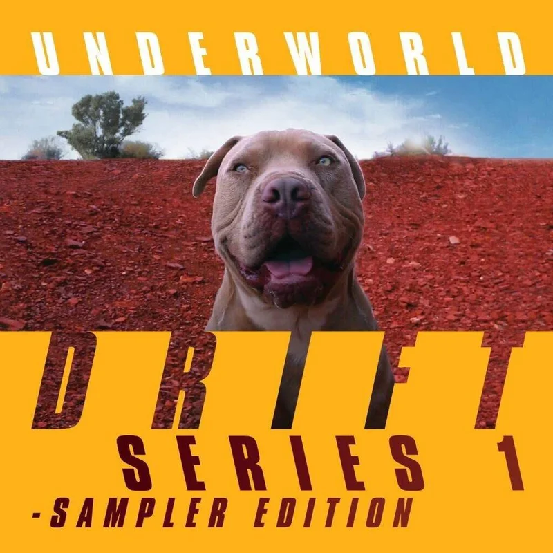 diversevinyl2849910