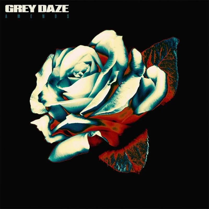 diversevinyl2875214