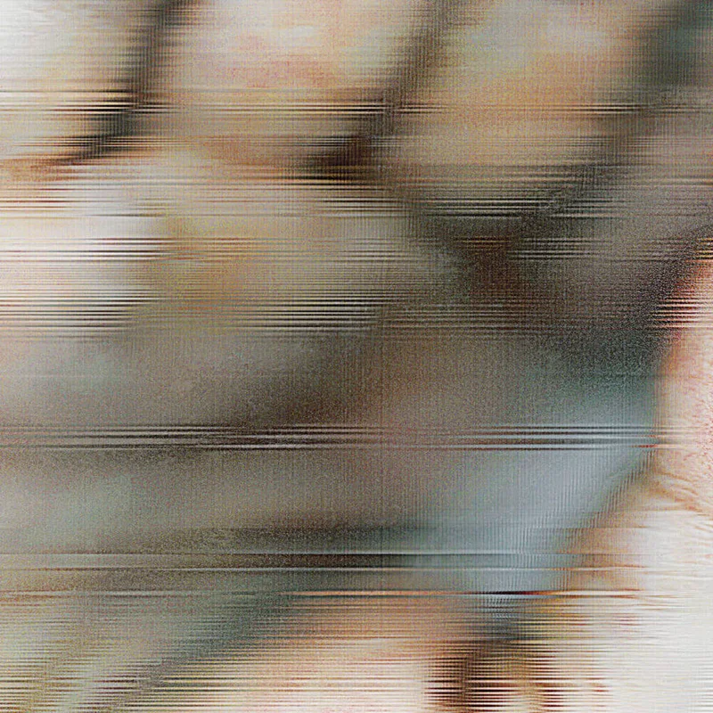 diversevinyl2890609