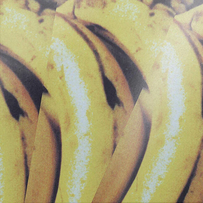 diversevinyl2917559
