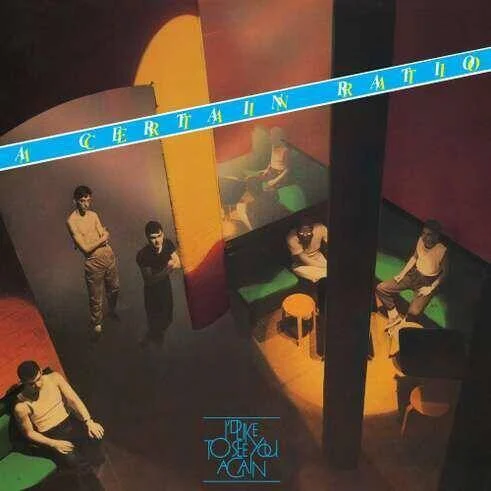 diversevinyl2921676