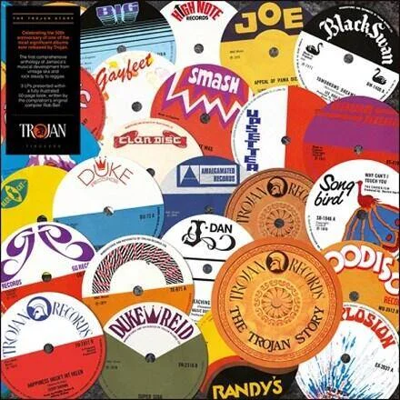 diversevinyl2924945