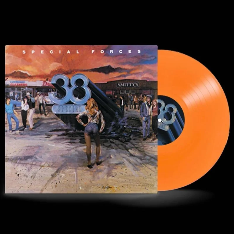 diversevinyl2930867