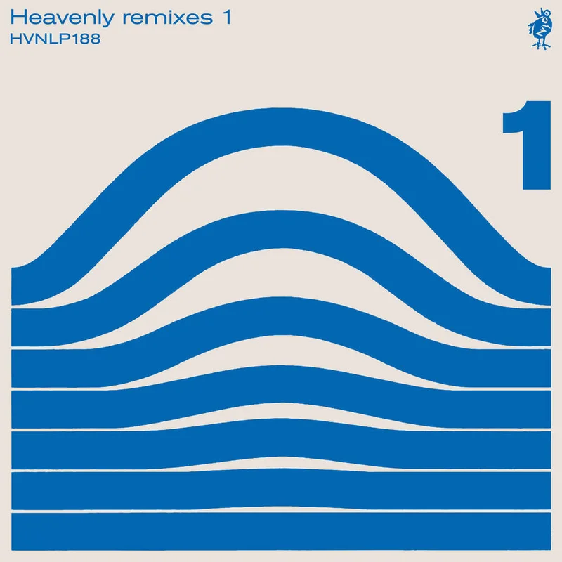 diversevinyl2942694