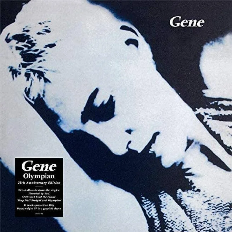 diversevinyl2943471