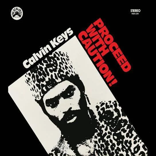 diversevinyl2952449