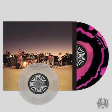 diversevinyl2955835