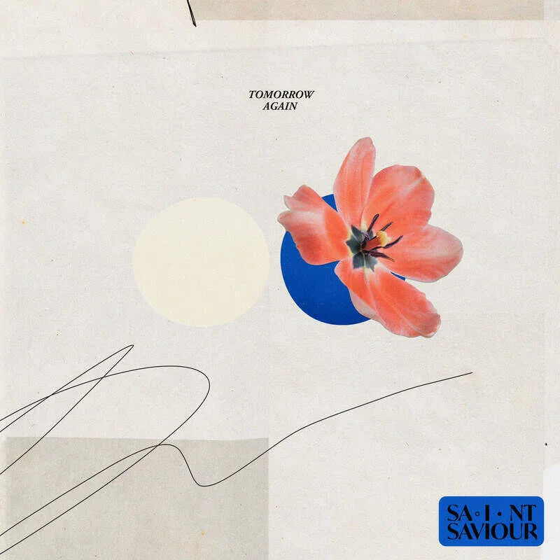 diversevinyl2965256