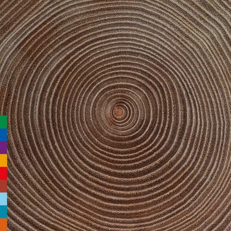 diversevinyl2969071