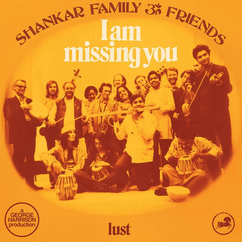 diversevinyl2978285