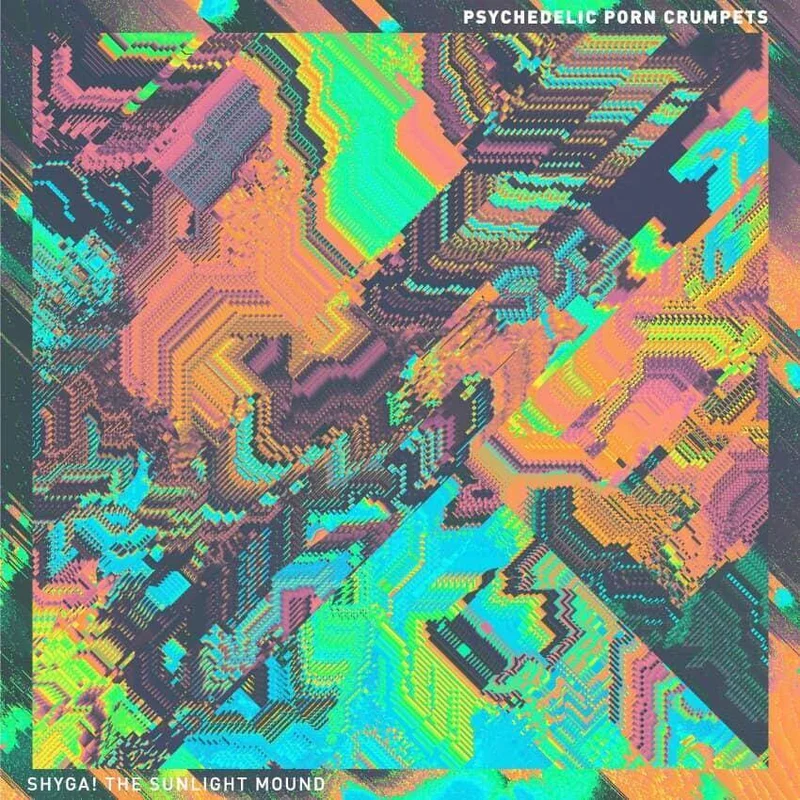 diversevinyl3004946