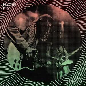 diversevinyl3008450