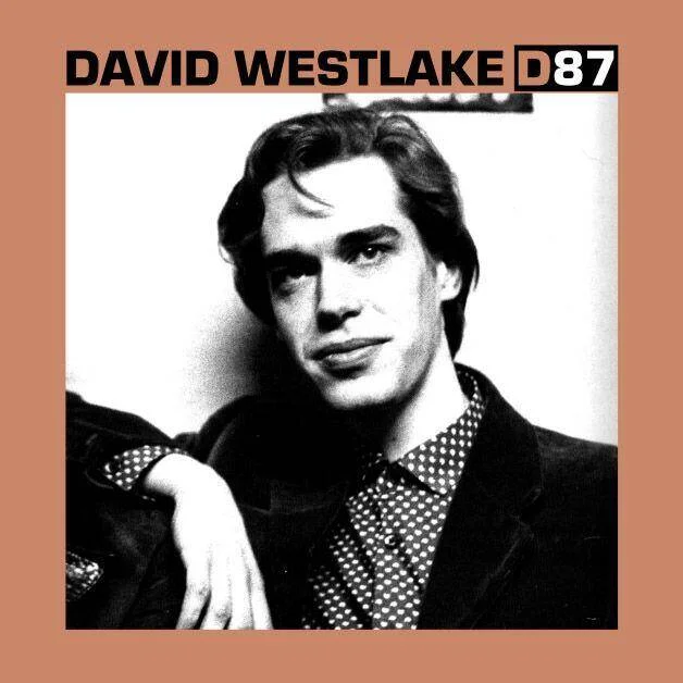 diversevinyl3038999