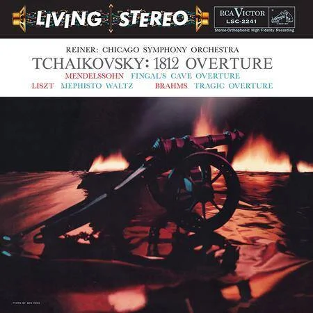 diversevinyl3133297