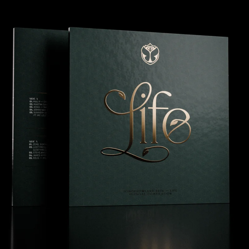 diversevinyl3143635