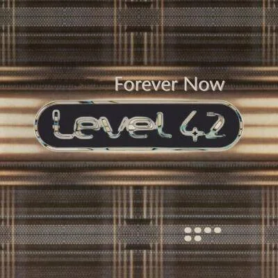 diversevinyl3168947