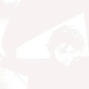diversevinyl3169141
