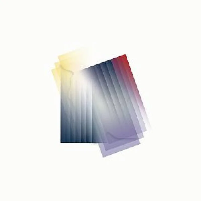 diversevinyl3174311