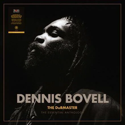 diversevinyl3220757