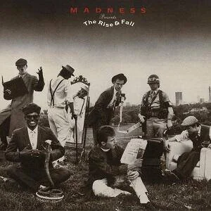 diversevinyl3221341