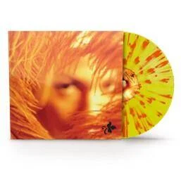 diversevinyl3237706