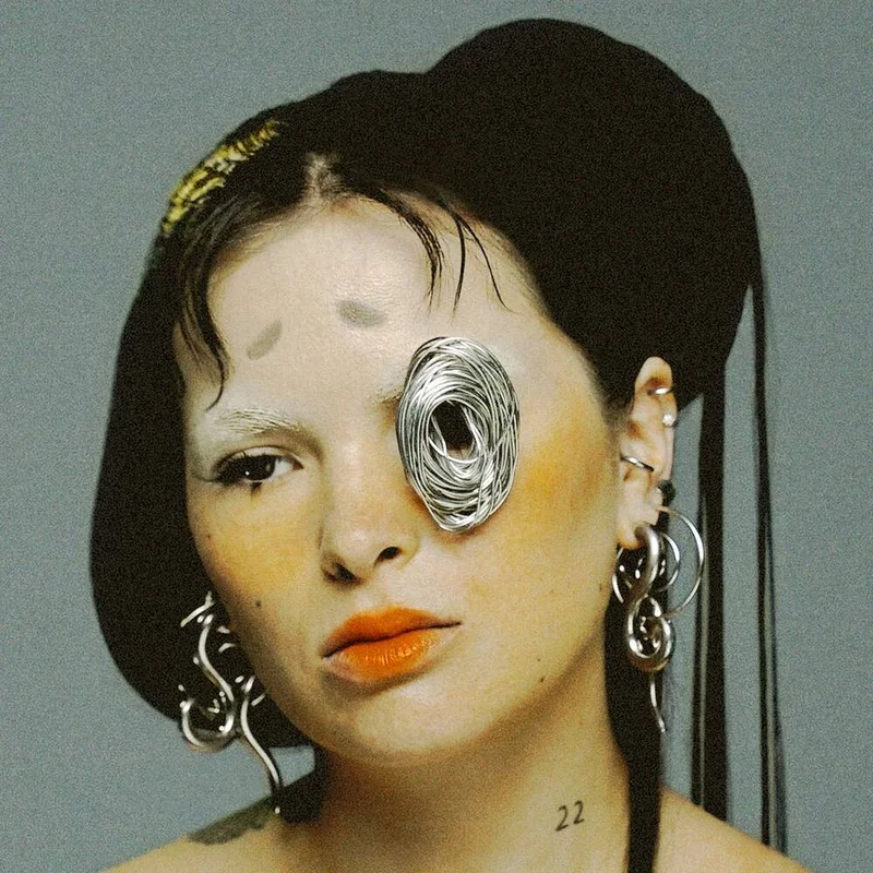 diversevinyl3243433