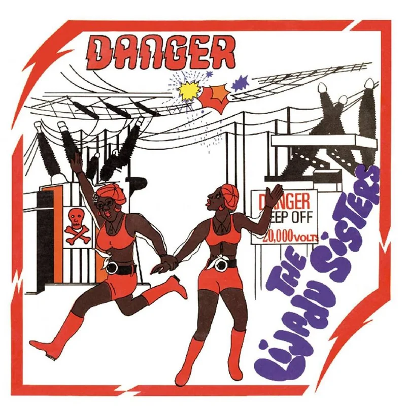 diversevinyl3267807
